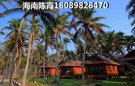 椰子洲岛买套房子得多少钱？
